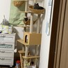 仲良し？