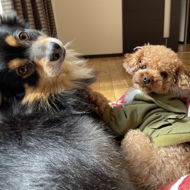 m1y2m2のカバー写真