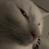 そぐ