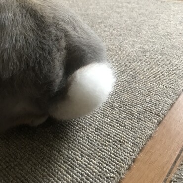 ふわふわ