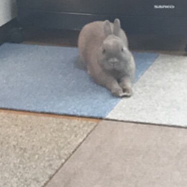 のんびり