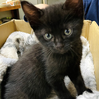 ずっとのお家が見つかりました！