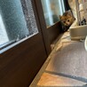 子猫三兄弟 サムネイル7