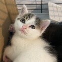 〜決まりました〜 勝浦ーズ　美形な『かつ君』