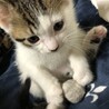 ミッキー柄の子②