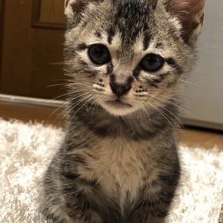 賢くてイケメンの甘えん坊男子です♡