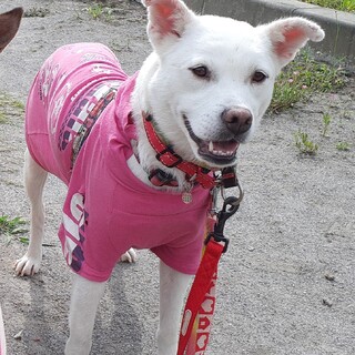 優しい女の子「くー」