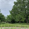 はなびんちゃん