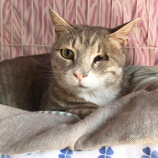 人が大好き！　2歳男の子