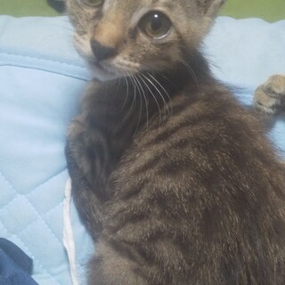 名前は奏夢(そら)です