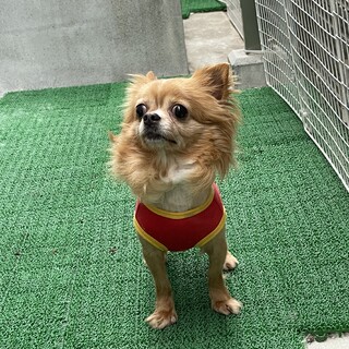 【お見合い決定】『優姫』ちゃんに家族を♡