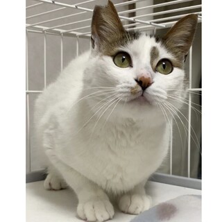 オモチャ遊びが大好き☆そう太くん