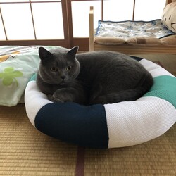 初めて入ってくれた‼️