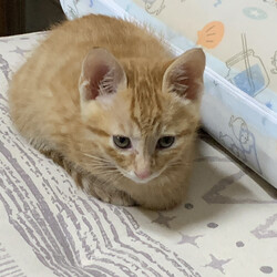 「予防接種受けてきました」サムネイル2