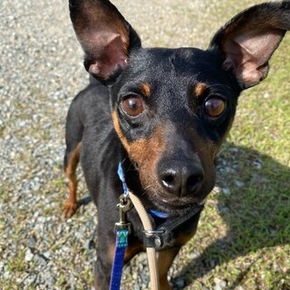 イケメンで人懐っこい男の子、リクくん♪