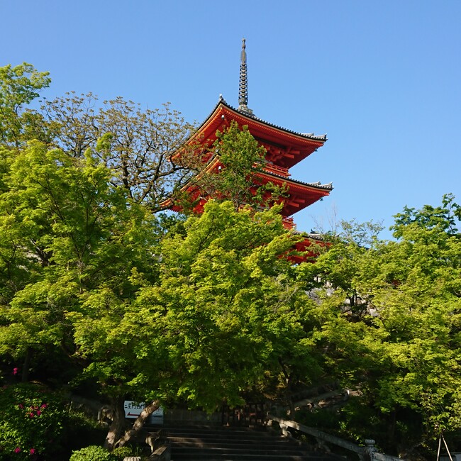 翔のおっかあのカバー写真
