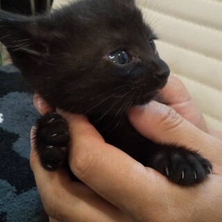 ボクを可愛がって♥️