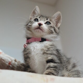 ミルク大好きお姫様☆のりちゃん