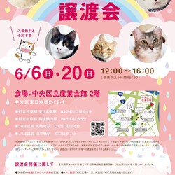 ねこざんまい譲渡会@東日本橋
