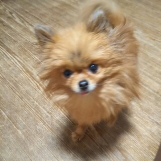 沢山のご応募頂きありがとうございます。