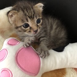 300g超えました‼︎