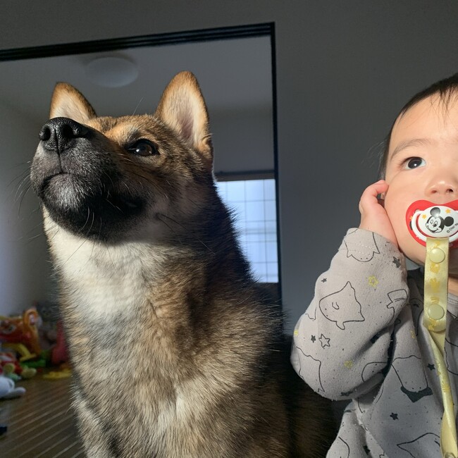 ドン小西のカバー写真