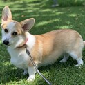 素敵なご家族に巡り会えました