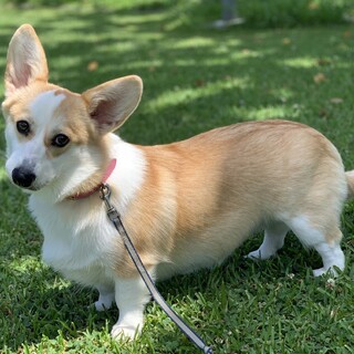 素敵なご家族に巡り会えました