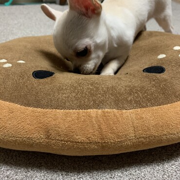 ほりほりしています( ¨̮ )