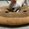 ほりほりしています( ¨̮ )