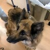 たくさんの温かいお気持ちありがとうございます。 サムネイル2