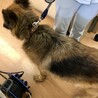 たくさんの温かいお気持ちありがとうございます。 サムネイル3