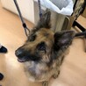 たくさんの温かいお気持ちありがとうございます。 サムネイル4