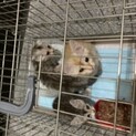 【応募締切】ありがとうございました！