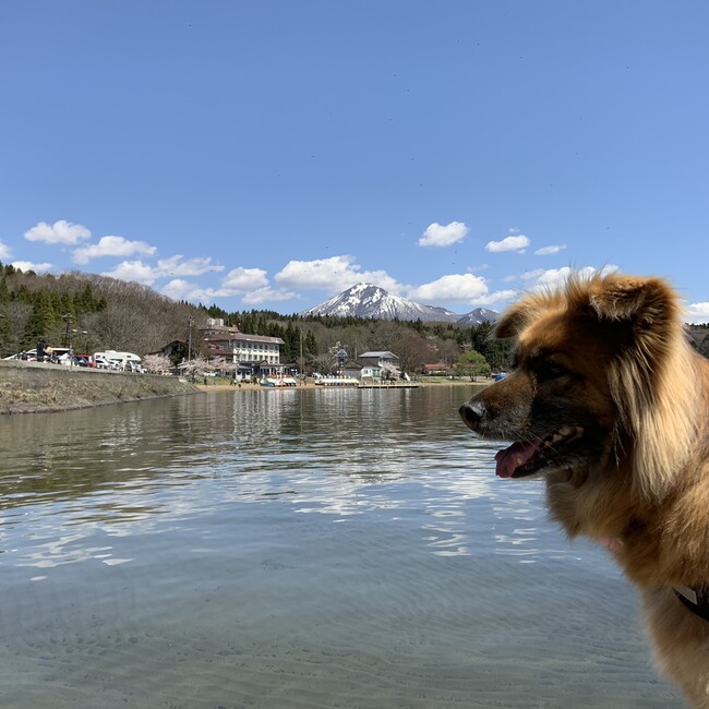 じゃっきっきのカバー写真