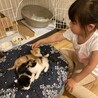 びとー