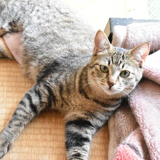 人懐こい女の子(*^^*)