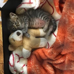 朝から元気です