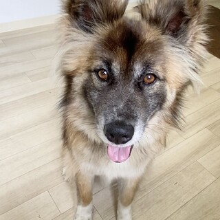 問い合わせ有り募集ストップします