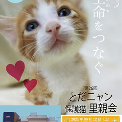 第26回　とだニャン保護猫里親会