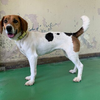 ※交渉中一時停止【元気若いキレイ】