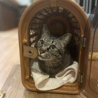 テン