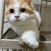 ねる