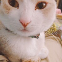 小吉