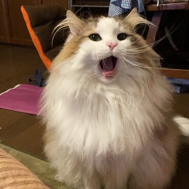 あー