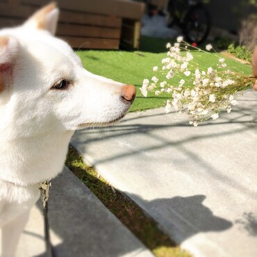 の写真