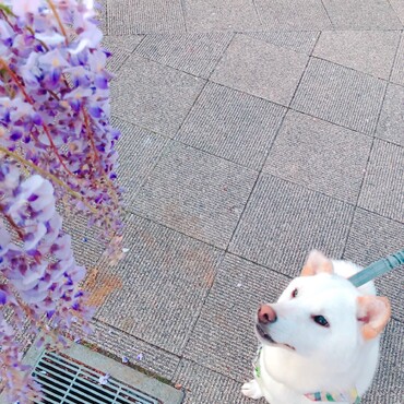 の写真