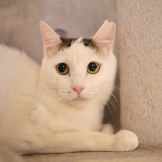 甘えん坊の暁（アキ）ちゃん