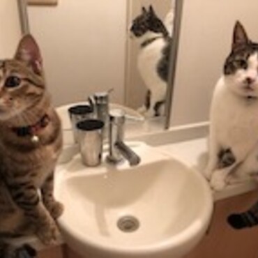 水待ち