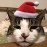 かいとまいのママさん